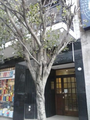 Foto de venta ó alquiler 2 amb en Lanus Este a mts de Av. 9 de Julio, imagen 4