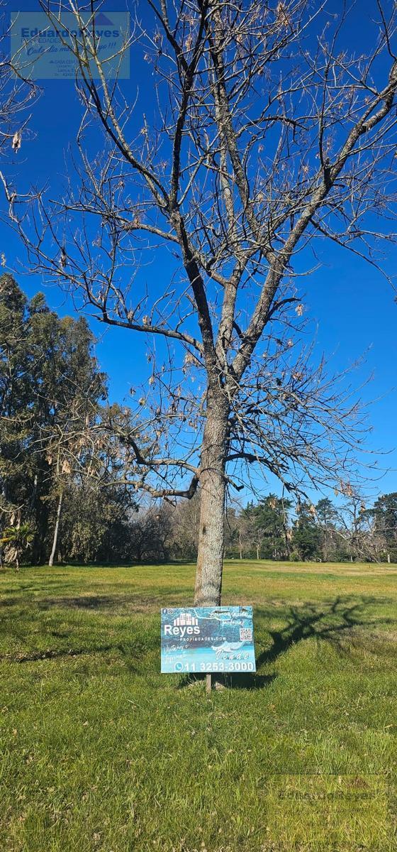 Foto de Terreno en VENTA EN FRANCIA DENTRO DE PARQUE LAS NACIONES, imagen 4