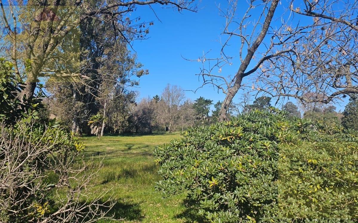 Terreno en VENTA EN FRANCIA DENTRO DE PARQUE LAS NACIONES