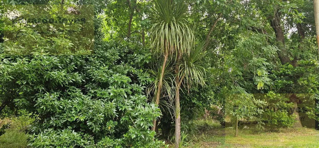 Terrenos en VENTA EN BARRIO PARQUE LAS NACIONES SOBRE BOULEVARD FRANCIA 4