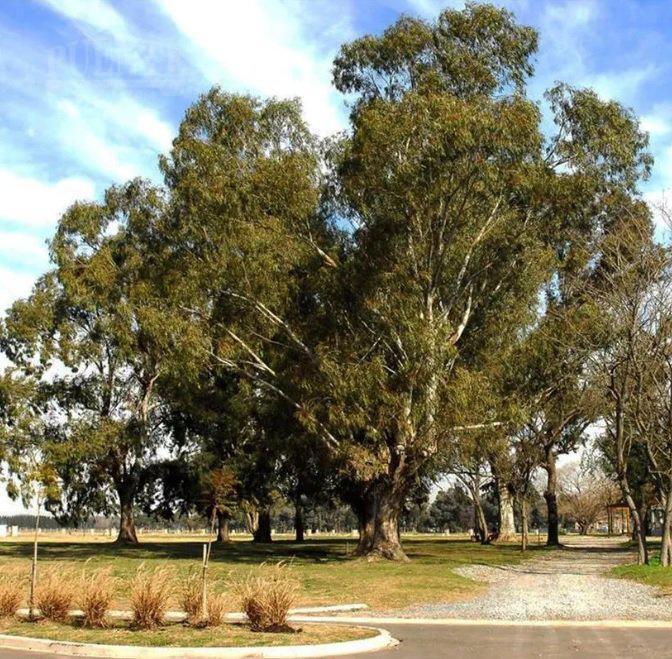 Terreno - San Felipe - Canning - Ezeiza - EIDICO