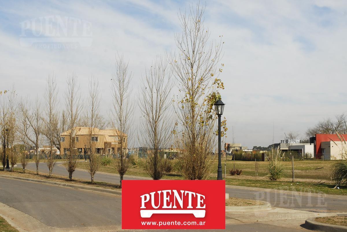 Foto de Terreno - San Felipe - Canning - Ezeiza - EIDICO, imagen 3