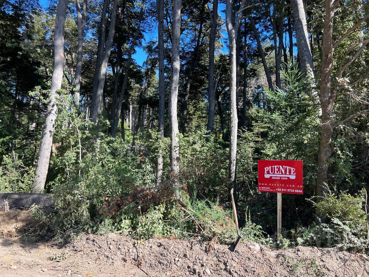 Foto de Terreno en Villa La Angostura, imagen 5