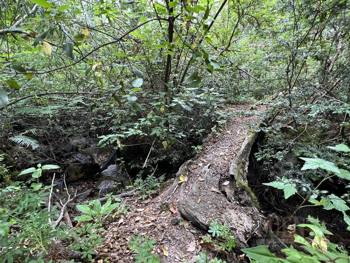 Foto de Terreno en Villa La Angostura, imagen 4