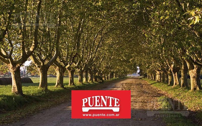 Foto de Terreno - Estancia Villa Maria, imagen 5