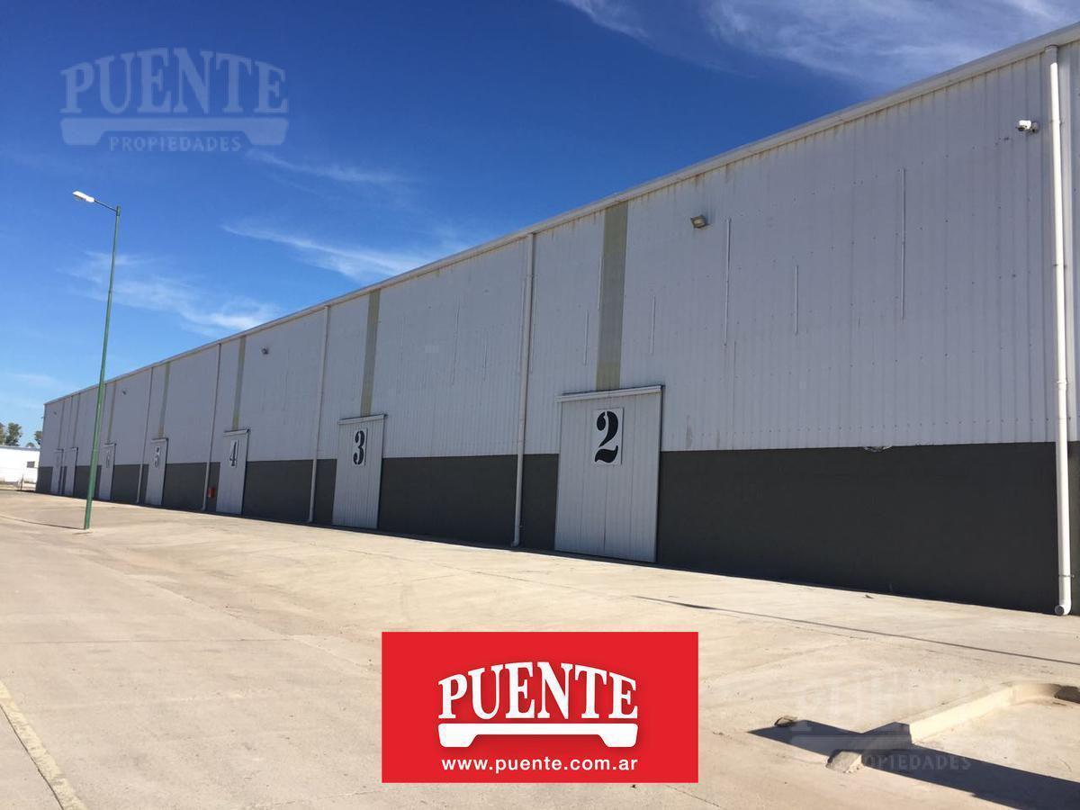 Foto de Nave Industrial - Polo Industrial Ezeiza - Venta - Galpon - Parque, imagen 2