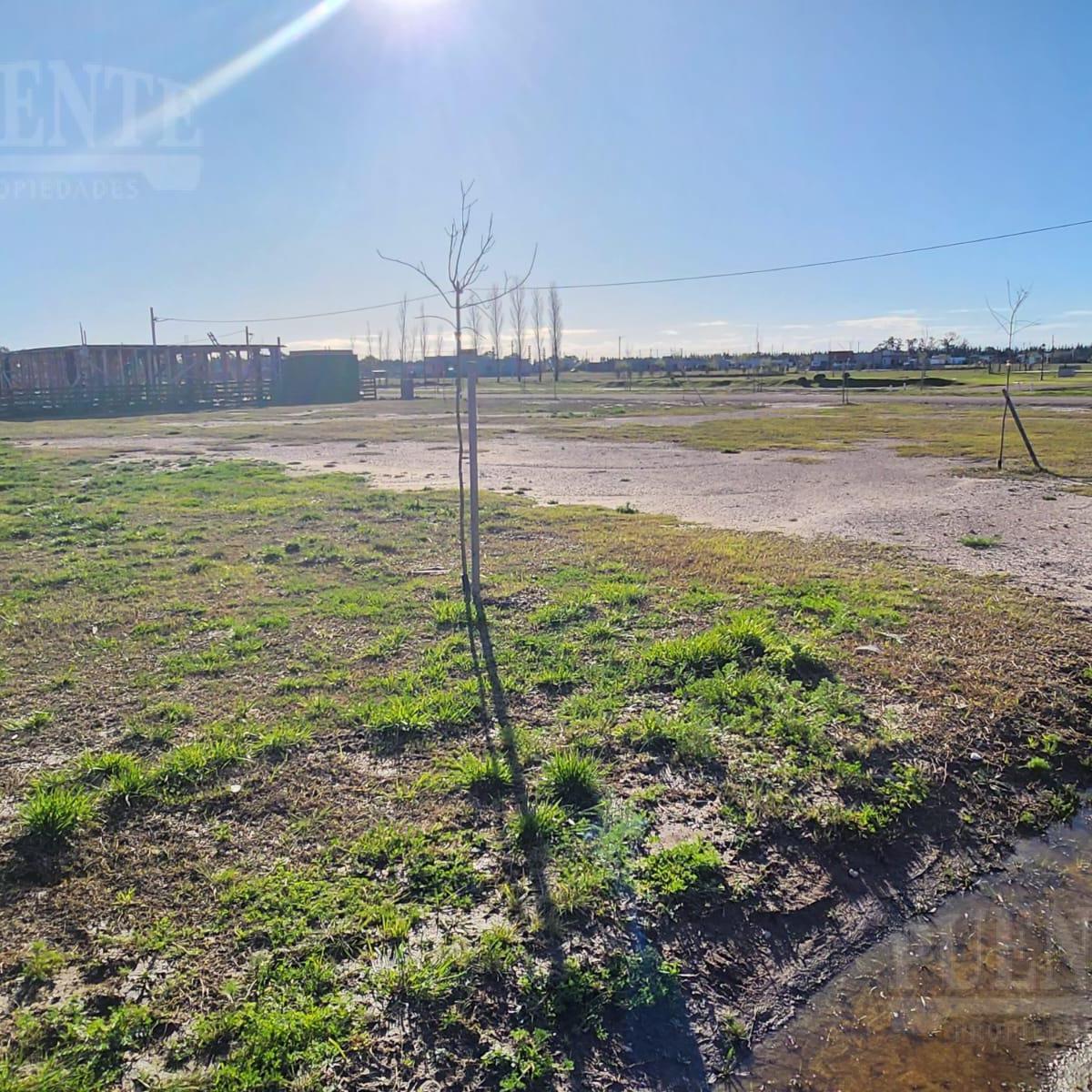 Terreno en Barrio Fincas de San Vicente Laguna