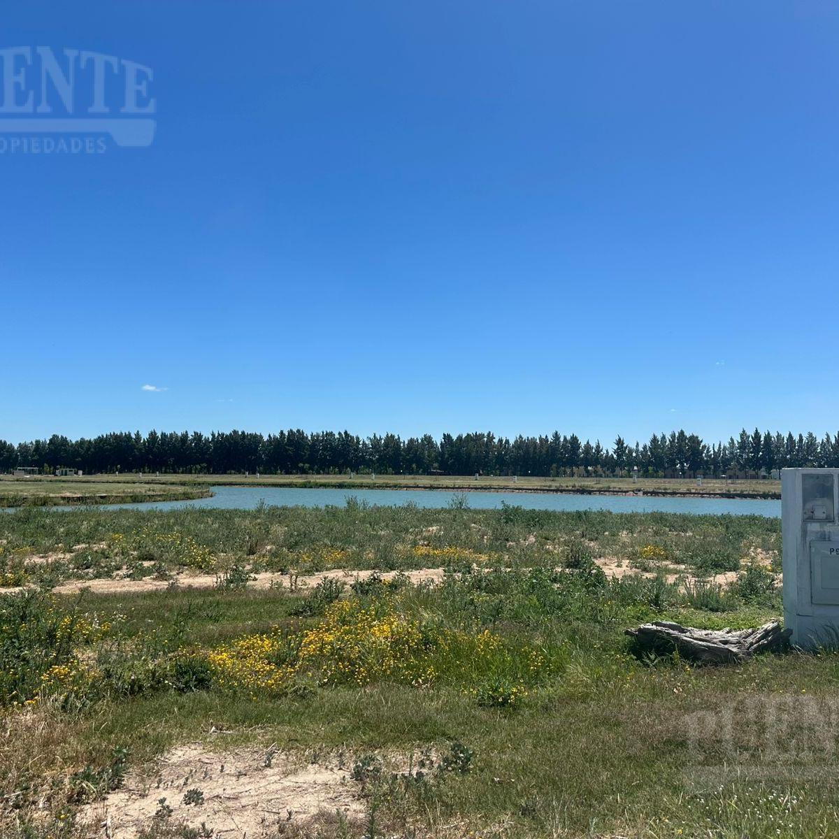 Foto de Las Victorias con Fondo al Lago, imagen 5