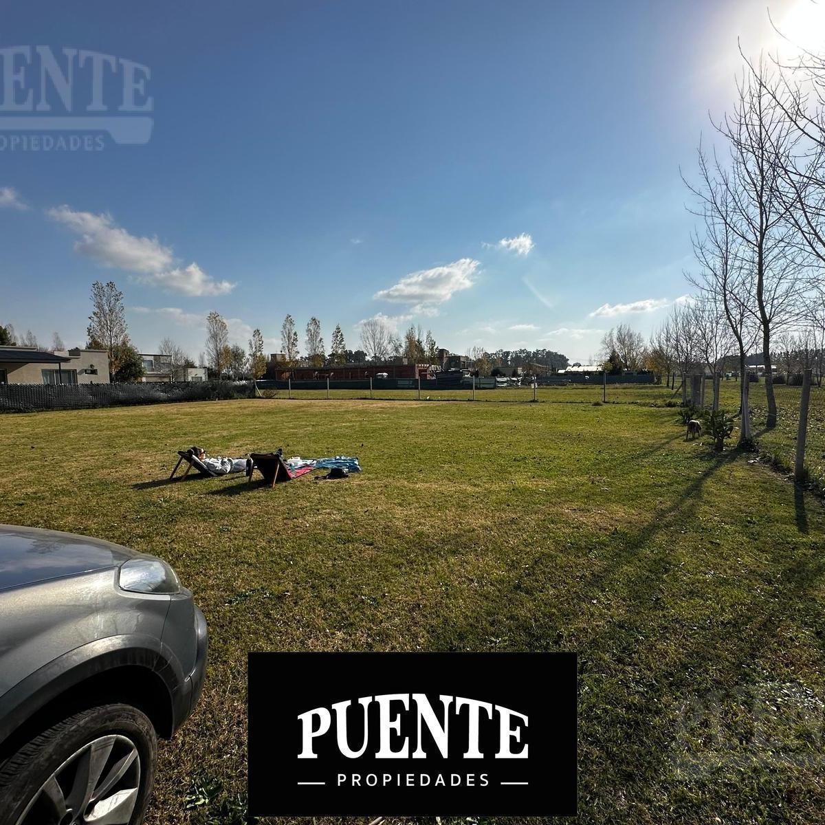 Terreno en Alejandro Petion con Escritura