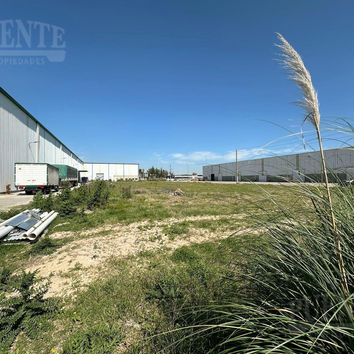 Terreno - Polo Industrial Ezeiza - Ezeiza - Lote - Parque Industrial