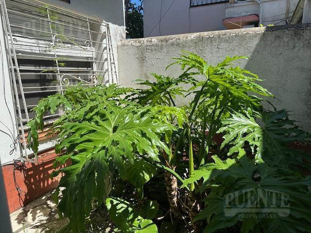 Foto de Casa en Banfield Oeste, imagen 5