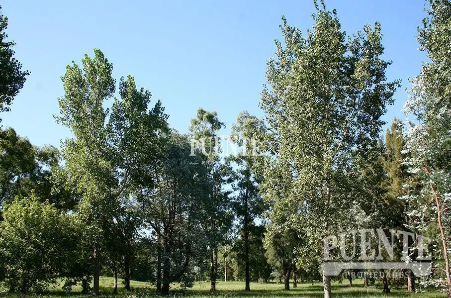 Lote en venta en Saint Thomas Este Canning 2