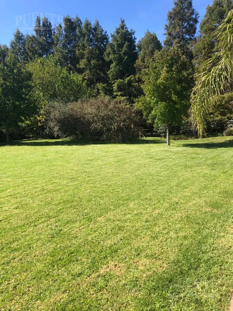 Terreno en El Lauquen 4