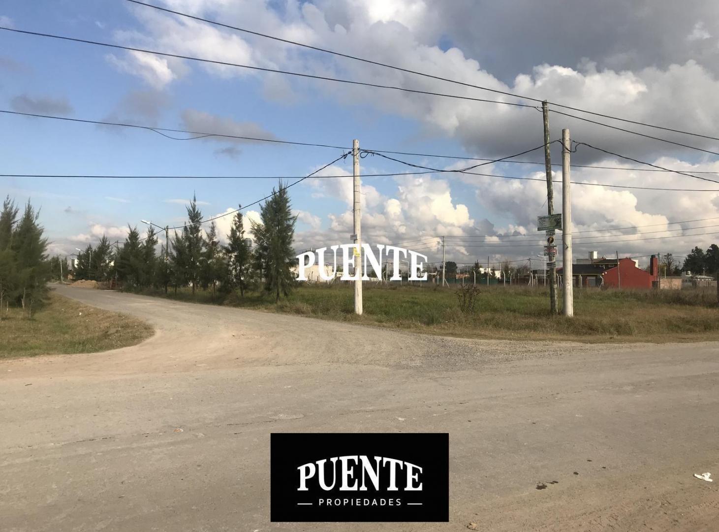 Foto de Terreno Comercial a la ruta e Moradas de Maximo Paz, imagen 4
