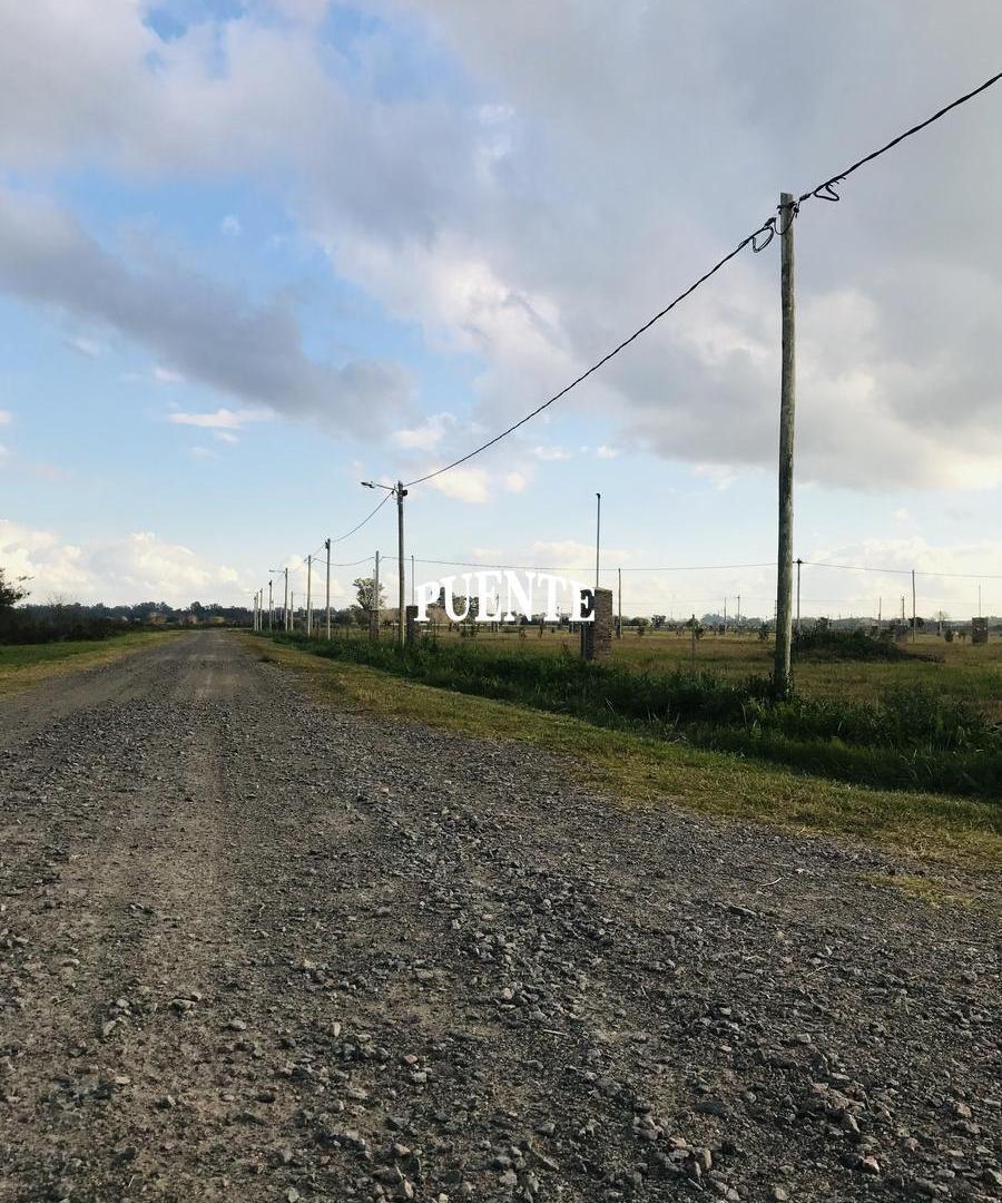 Foto de Terreno Comercial a la ruta e Moradas de Maximo Paz, imagen 1