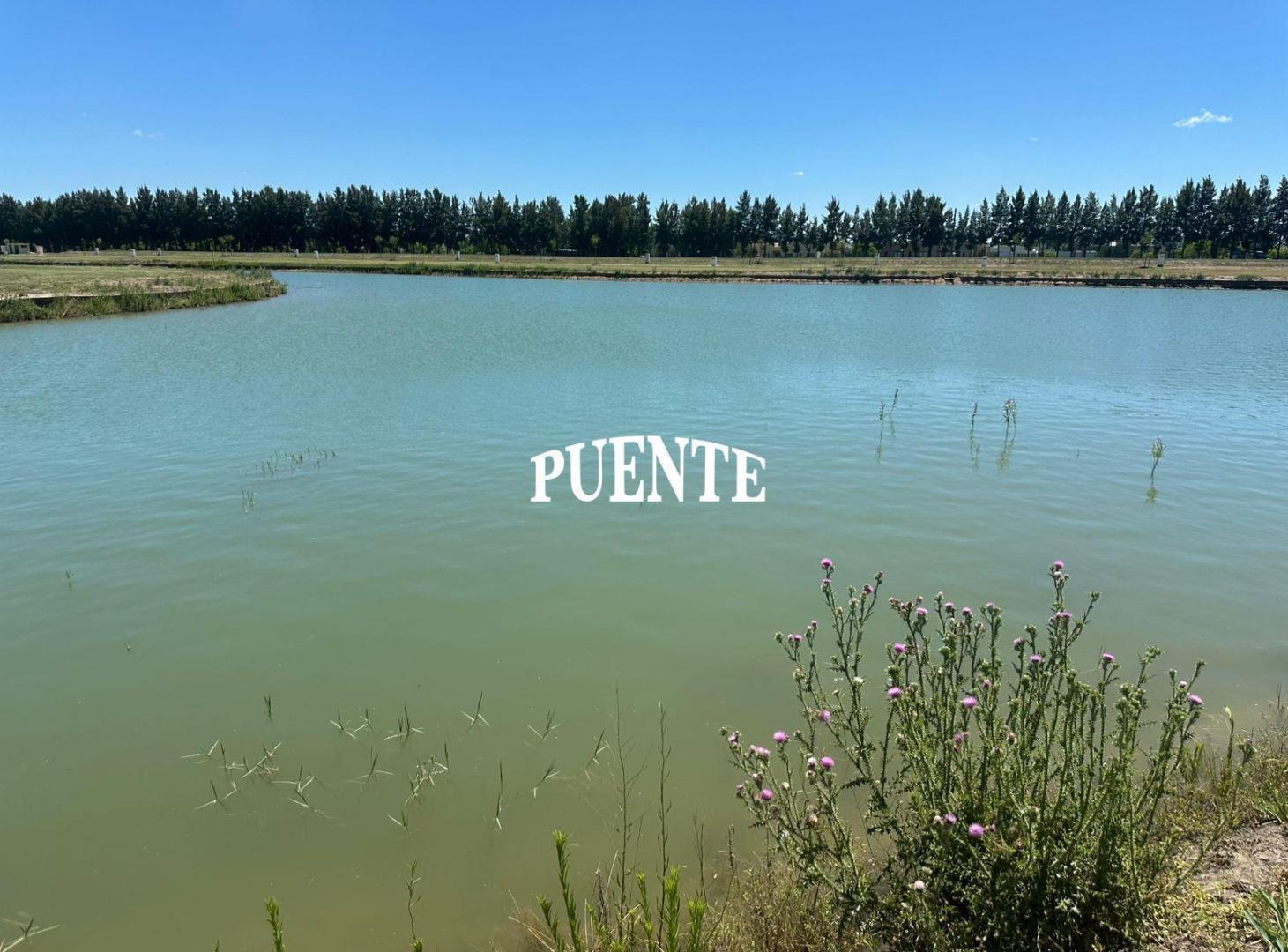 Foto de Las Victorias con Fondo al Lago, imagen 1
