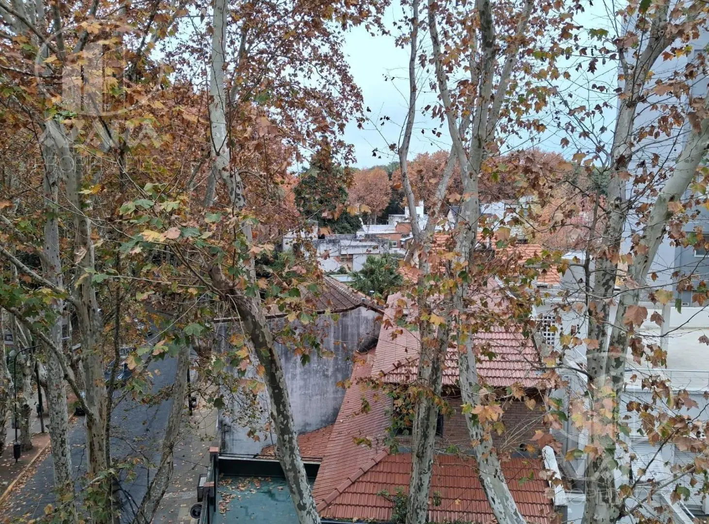 Departamento - Barrio Vicente López 2