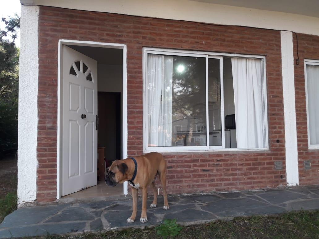 8 Departamentos en Block, Venta Ostende, a 6 Cuadrdas del Mar! Oportunidad 4