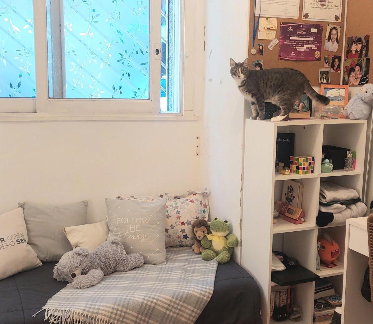 Foto de Departamento en venta en muy buena zona de Belgrano, imagen 2