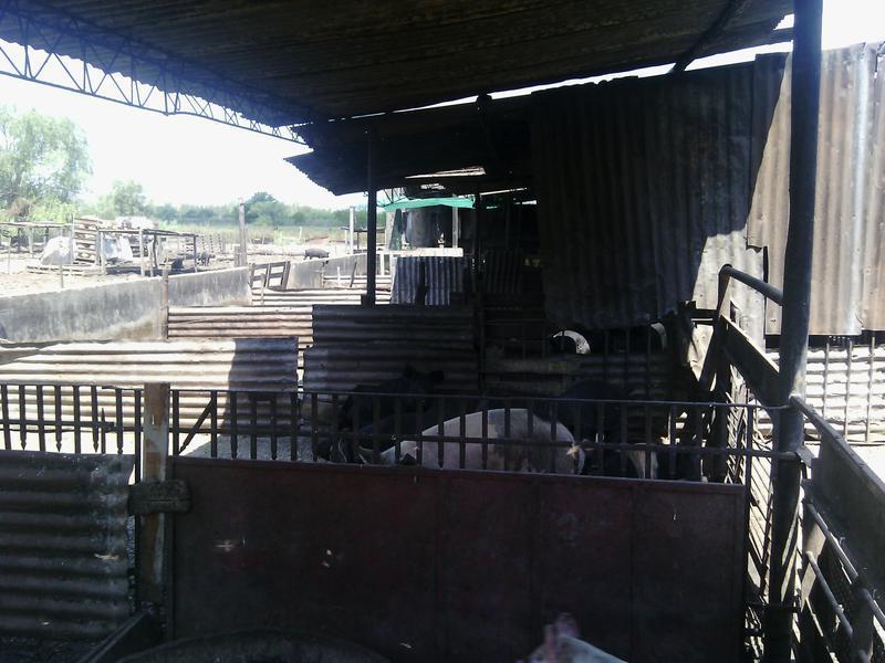 Foto de Campo - San Miguel Del Monte, imagen 3