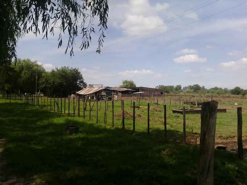Campo - San Miguel del Monte 5