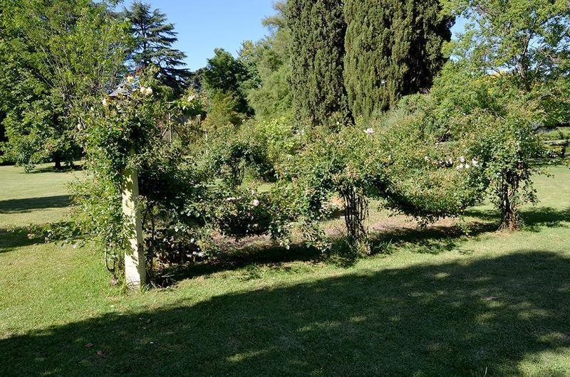 Foto de Lote de 9.775m2 en Mashwitz Los Naranjos casa principal, pileta, imagen 5