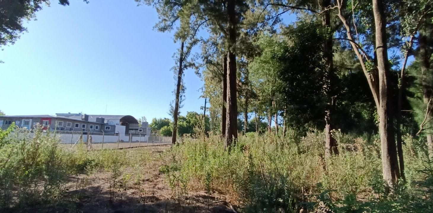 Terreno en Robles del Monarca Pilar