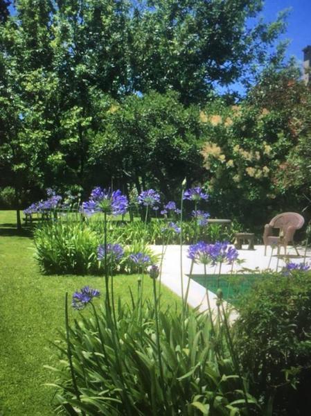 Foto de CONQUIPROPIEDADES - ALQUILER DE VERANO CASA EN LAGUNA DEL SOL, imagen 3