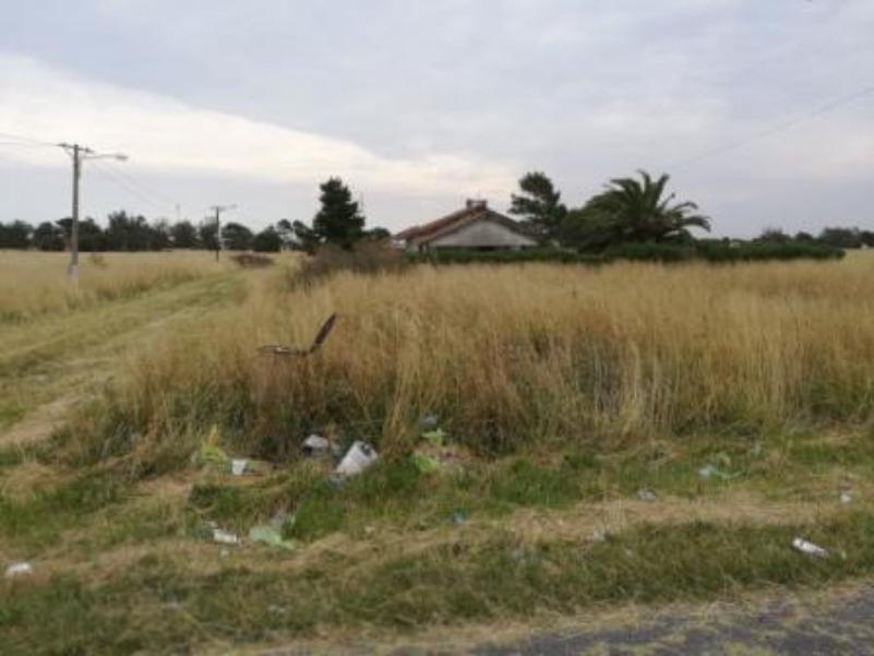 Foto de Terrenos en Venta en El Marquesado, imagen 3