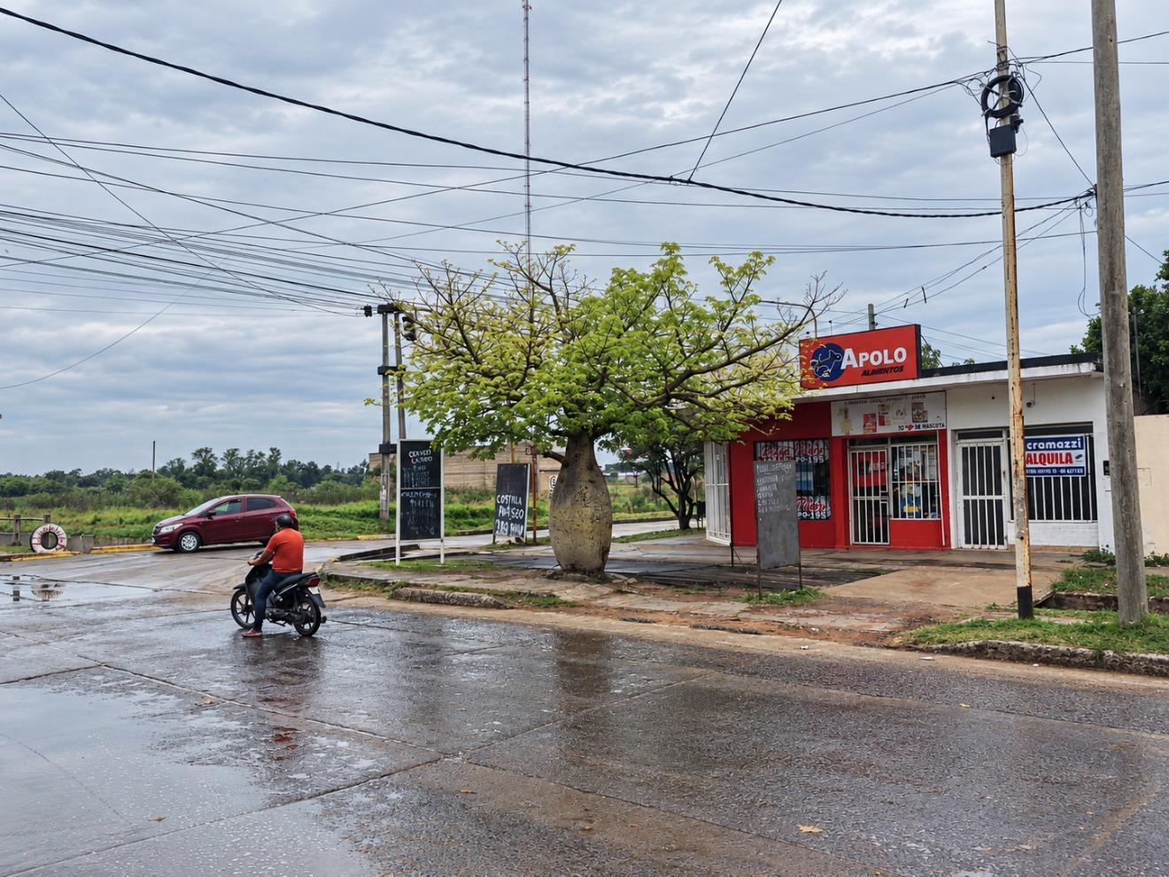 Foto de ALQUILER LOCAL COMERCIAL, imagen 1