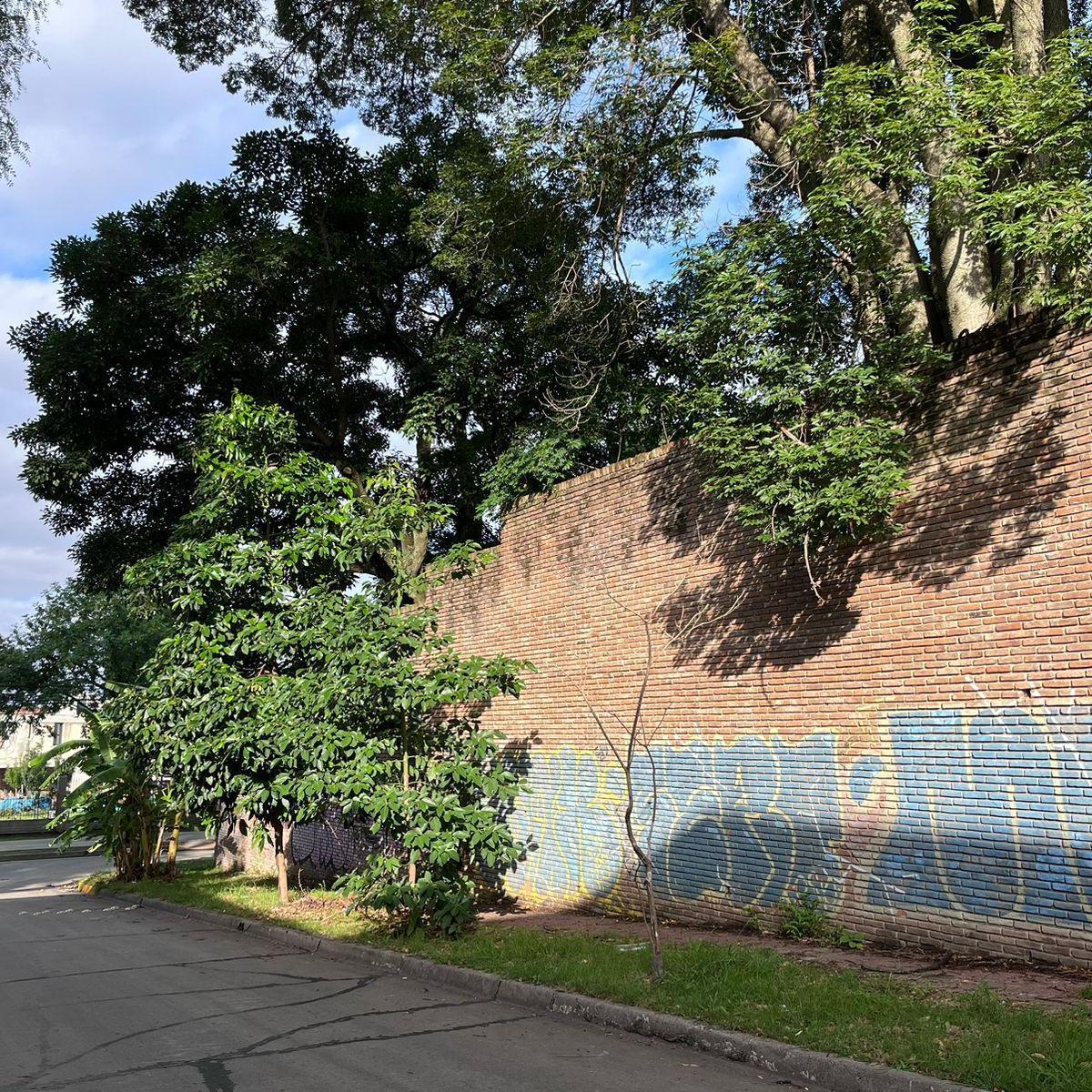 Terreno en venta, Libertador al río, Beccar.