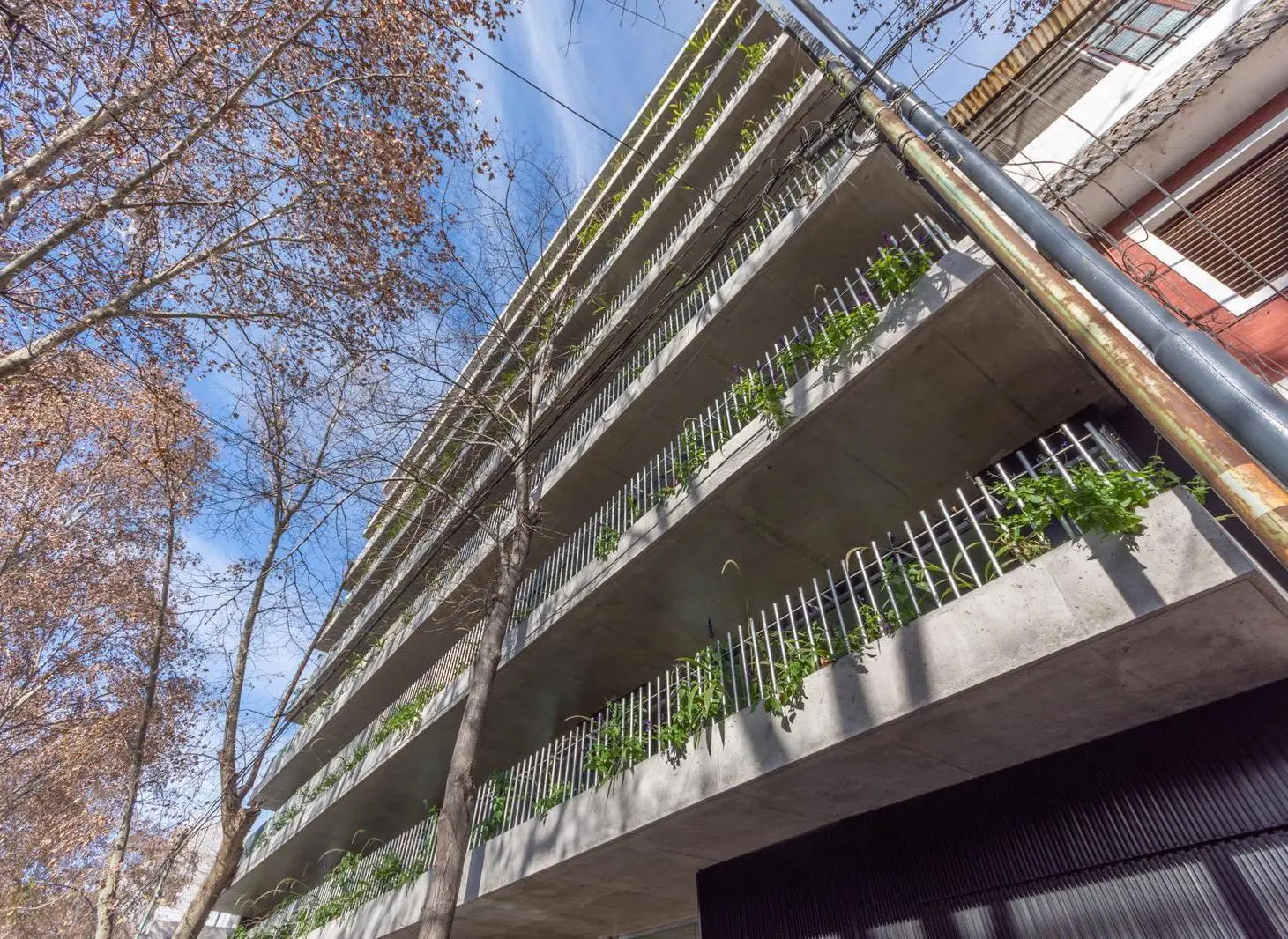 Lumen Bajo Belgrano 3