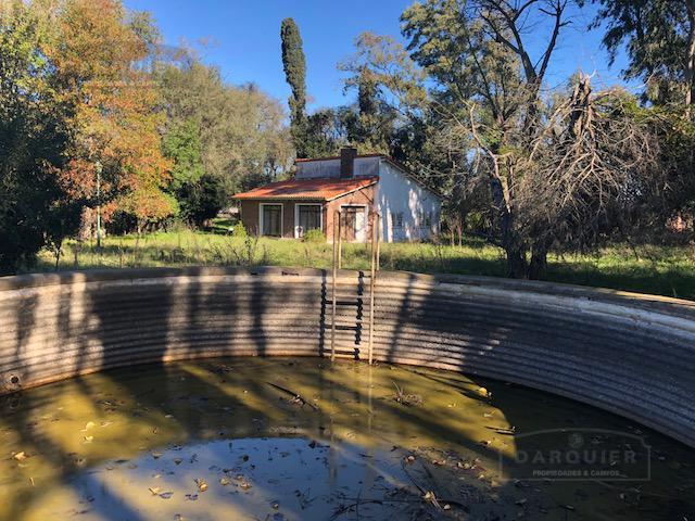 Campo - Campos Cañuelas 4
