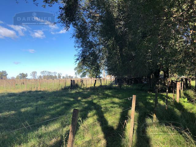 Campo - Campos Cañuelas 5