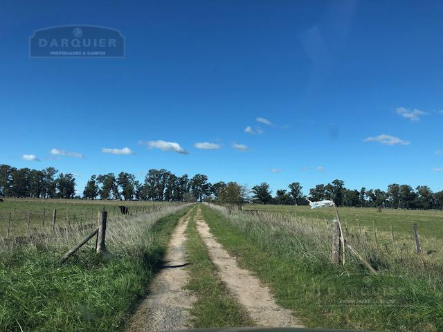 Campo - Campos Cañuelas 1