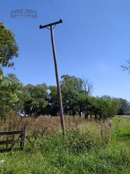 Campo - Cañuelas 5