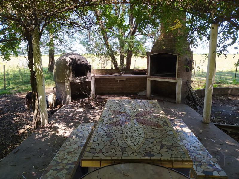 Campo - Cañuelas 2