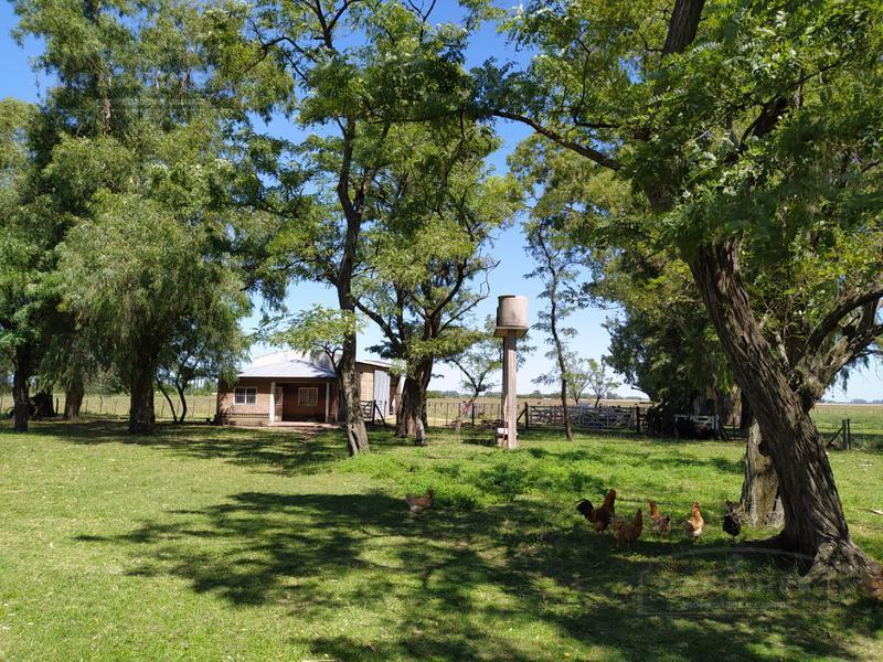 Campo - Cañuelas 4