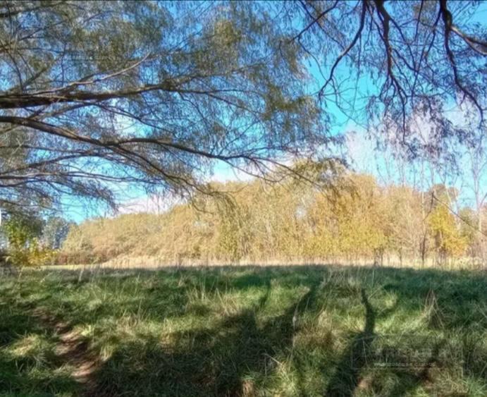 Terreno en Cañuelas 1