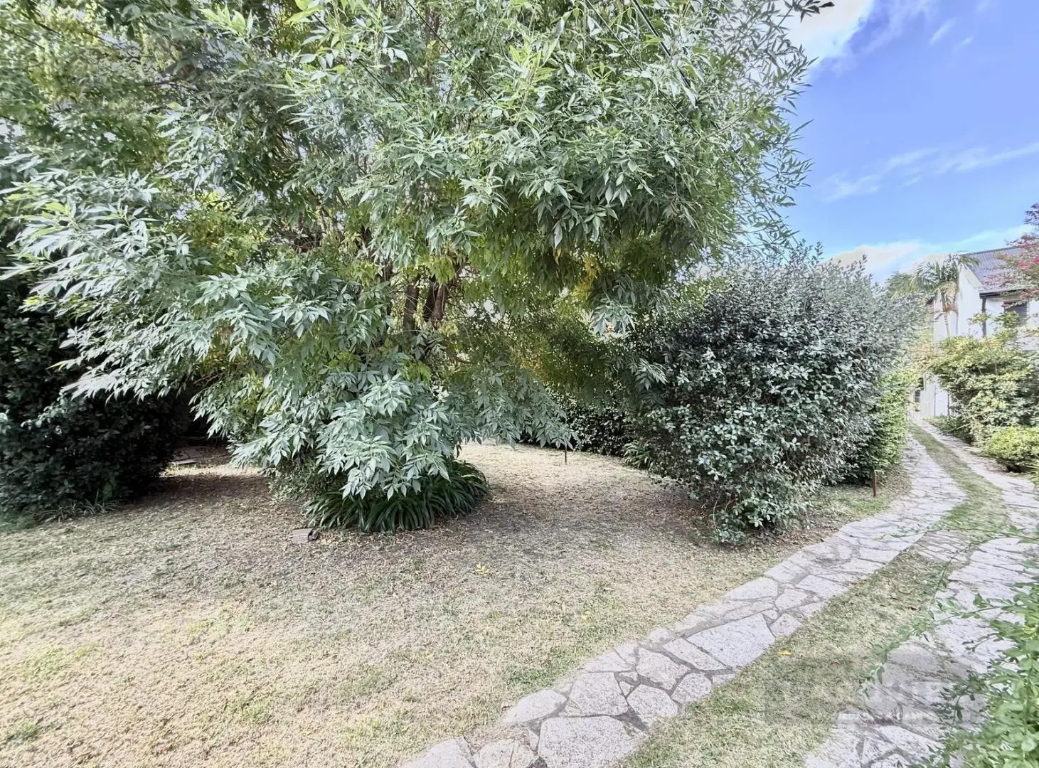 Casa en pulmon de manzana 2