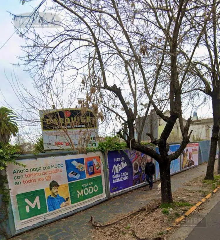 MUY BUEN TERRENO 2