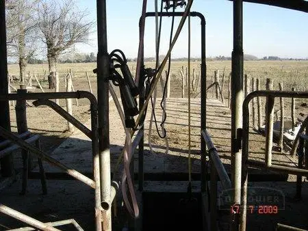 Campo en Ranchos 5