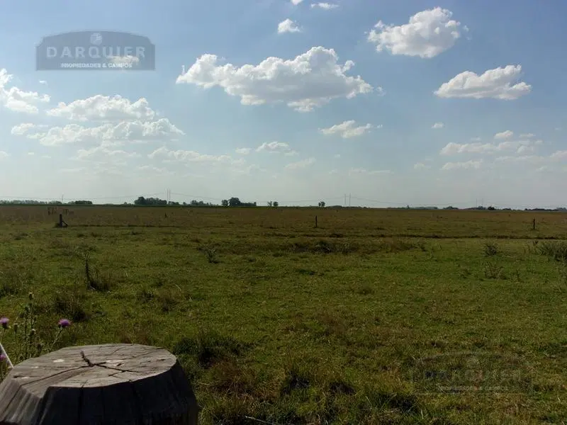 Campo - Ranchos 4