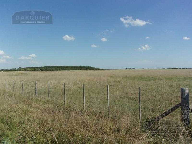 Campo - Ranchos