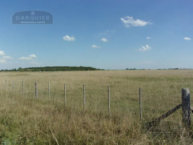 Campo - Ranchos 1