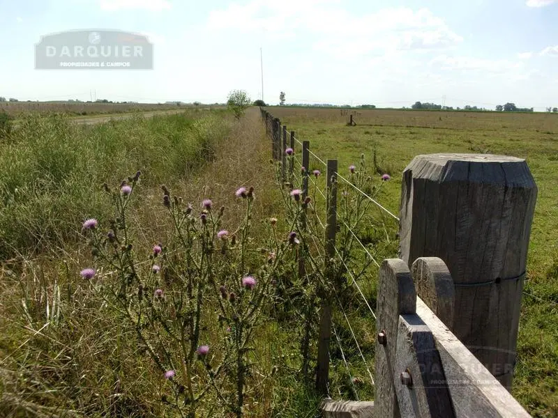 Campo - Ranchos 3