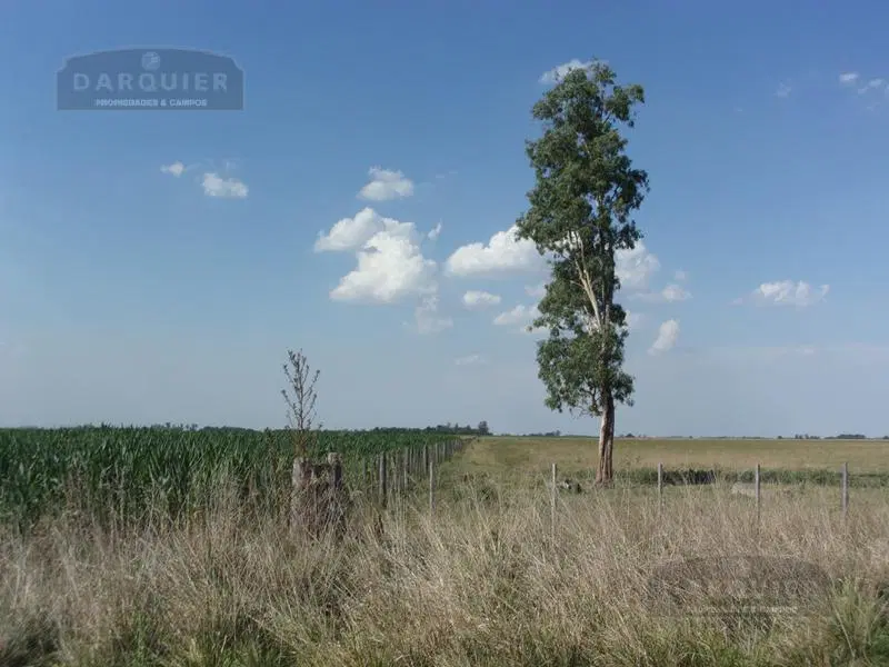 Campo - Ranchos 2
