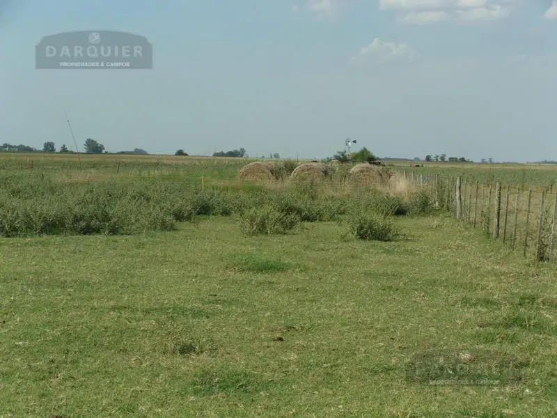 Campo - Ranchos 5