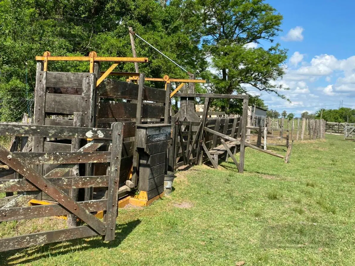 Campo - Ranchos 1