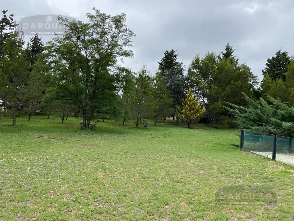 Campo - Capital 4